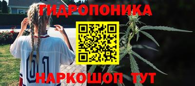 шишки Комсомольск-на-Амуре