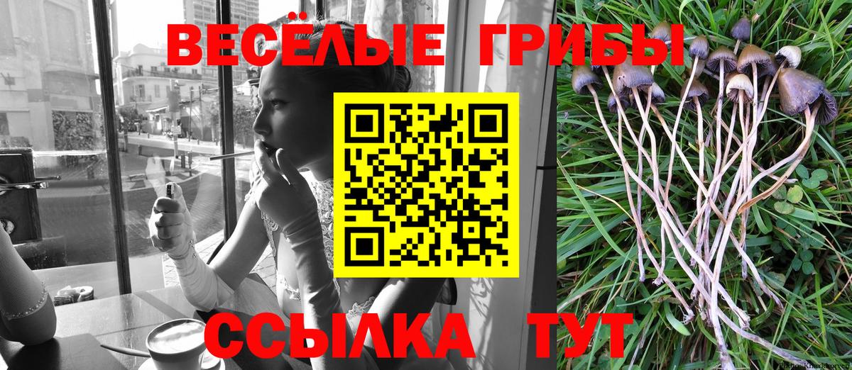 Кудымкар  Псилоцибиновые грибы Psilocybine cubensis  Вход с VPN 